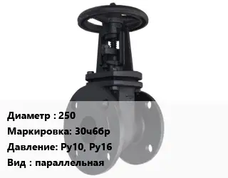 Задвижка чугунная канализационная 250 30ч6бр Ру10, Ру16 параллельная